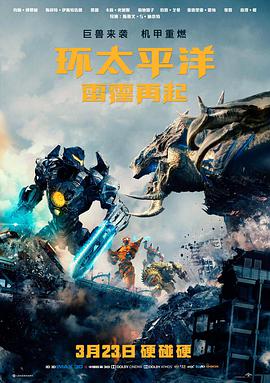 逆风摆渡海报